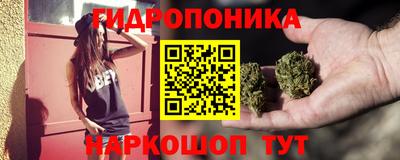 спиды Кинель