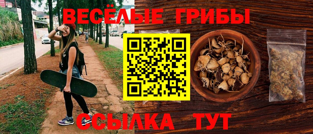Сокол  Галлюциногенные грибы мицелий  Псилоцибиновые грибы Psilocybine cubensis  Вход с VPN 