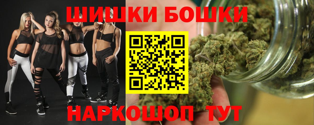 Канабис сатива Сокол